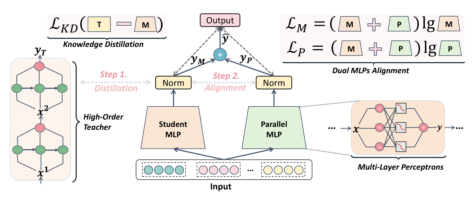 Figure 1：DS-MLP 架构与两阶段训练