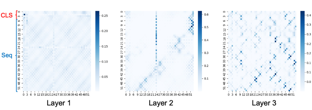 Figure 4 attention map